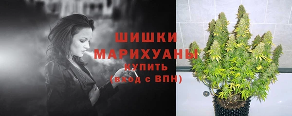 ПСИЛОЦИБИНОВЫЕ ГРИБЫ Абдулино