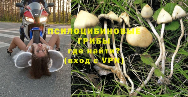 гидропоника Алексин