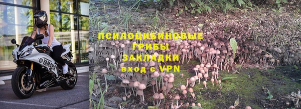 гидропоника Алексин