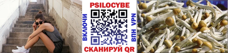 блэк спрут ССЫЛКА  Новосибирск  Псилоцибиновые грибы ЛСД 