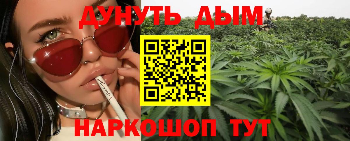 Каннабис план  Канабис тримм  Каннабис AK-47  Вход с VPN  Новосибирск  Конопля гибрид 